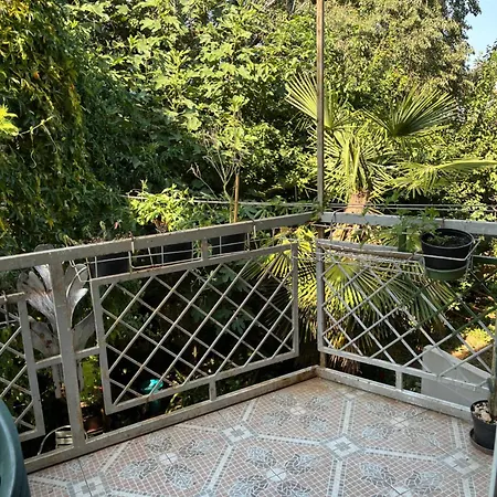 Apartment Zeleni
