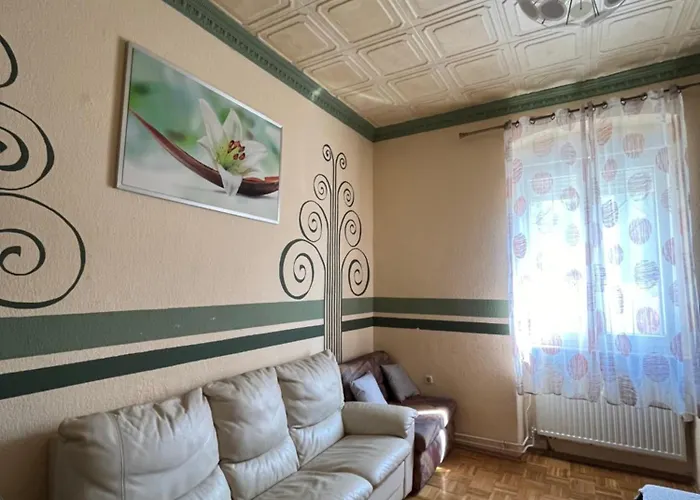 Zeleni * Pula